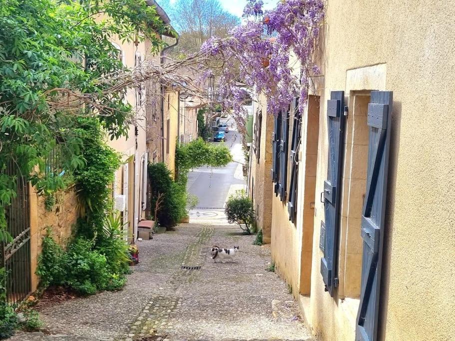 Romantique Room St Michel De Lanes サン・ミッシェル・ド・ラネス エクステリア 写真